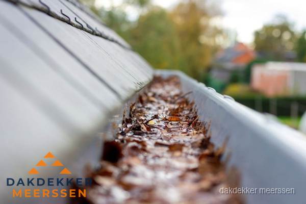 Verstopte dakgoot met bladeren schoonmaken in Meerssen Verstopte dakgoot met bladeren schoonmaken in Meerssen