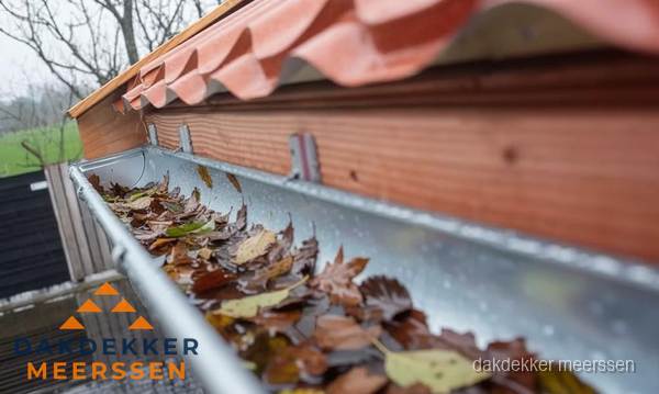 Dakgoot vol bladeren die gereinigd moet worden in Meerssen Dakgoot vol bladeren die gereinigd moet worden in Meerssen
