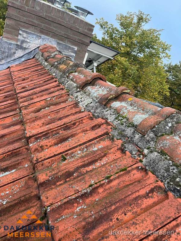 Verweerd hellend dak met mosgroei op nokvorst in Meerssen Verweerd hellend dak met mosgroei op nokvorst in Meerssen