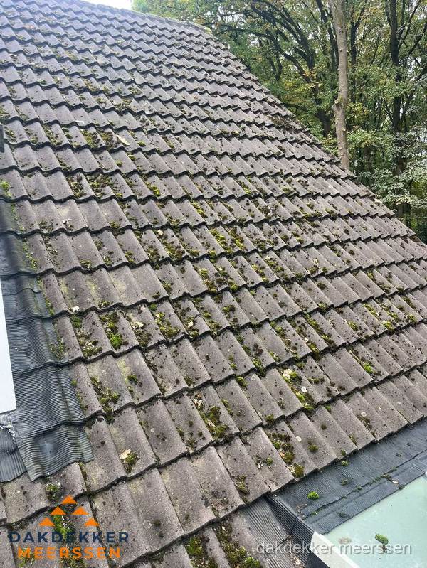 Verweerd pannendak met mosgroei dat renovatie nodig heeft in Meerssen Verweerd pannendak met mosgroei dat renovatie nodig heeft in Meerssen